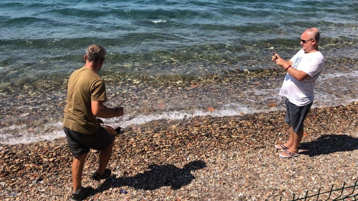 İzmarite niyet, vatosa kısmet