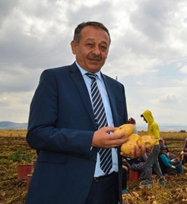 Çorum’da patates hasadı başladı G5