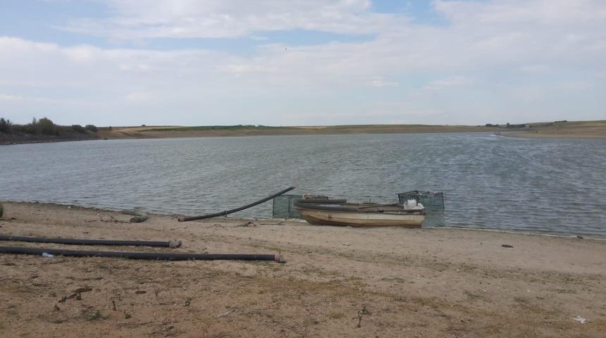 Edirne'de korkutan görüntü! 'İlk kez böyle gördüm'