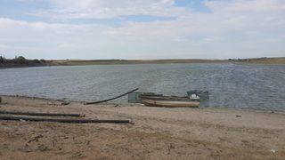 Edirne'de korkutan görüntü! 'İlk kez böyle gördüm'