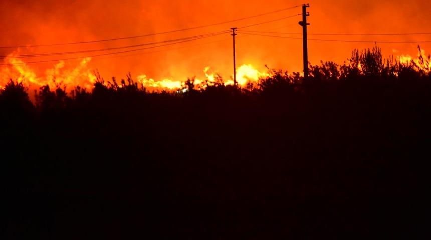 Çeşme'de otluk alanda yangın