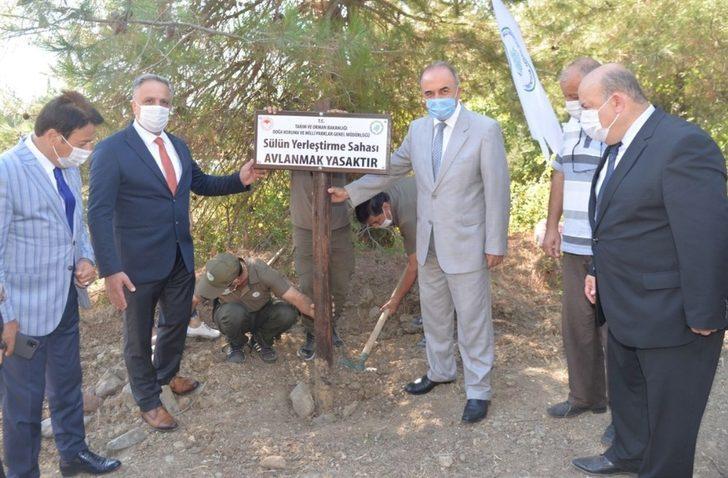 Yalova’da bin adet sülün doğayla buluştu G3