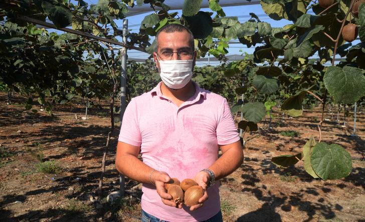  38 rakımda kivi üretti, 'olmaz denileni oldurduk' dedi G5