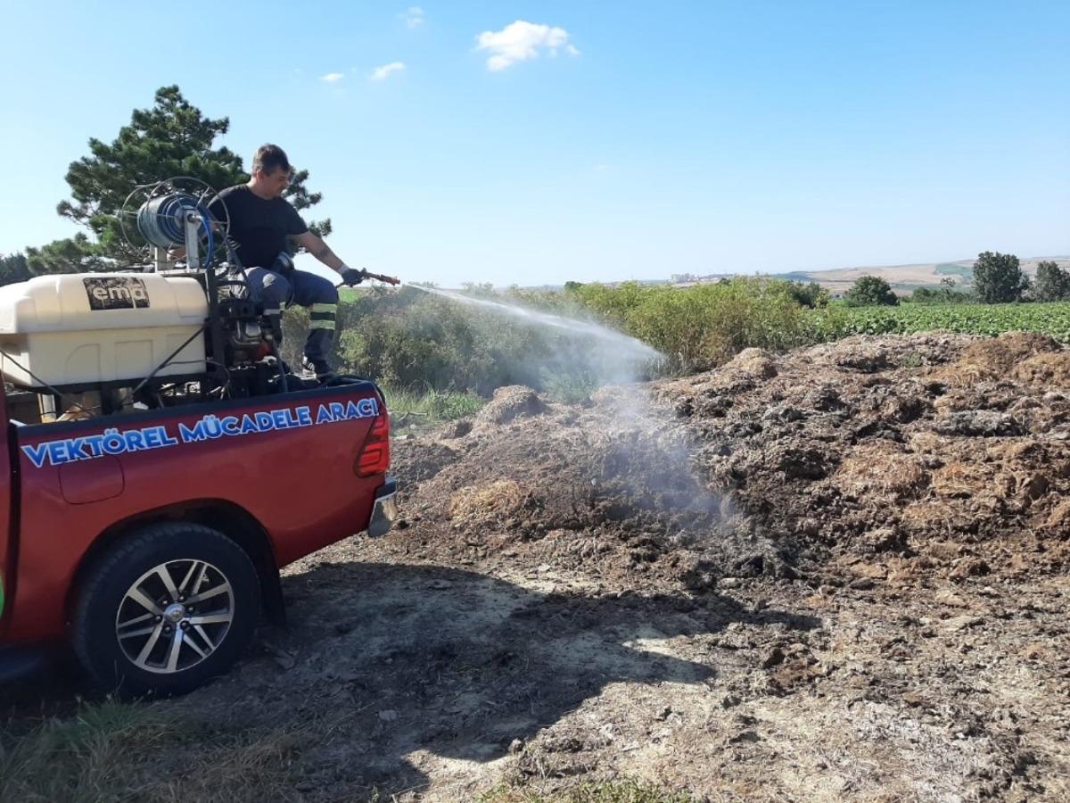 Sivrisinek m&uuml;cadelesi kesintisiz s&uuml;r&uuml;yor