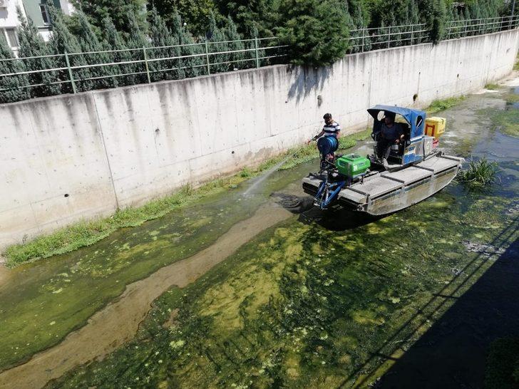 Sivrisinek mücadelesi kesintisiz sürüyor G3