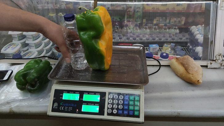 Dev dolmalık biberi gören şaşıp kalıyor! Normalden 10 kat daha büyük G4