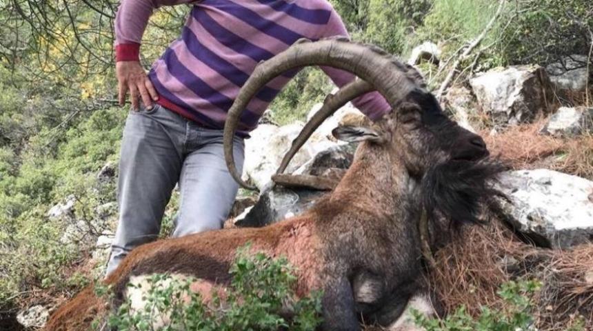 Koruma altındaki ke&ccedil;iyi vuran şahsa 23 bin lira ceza