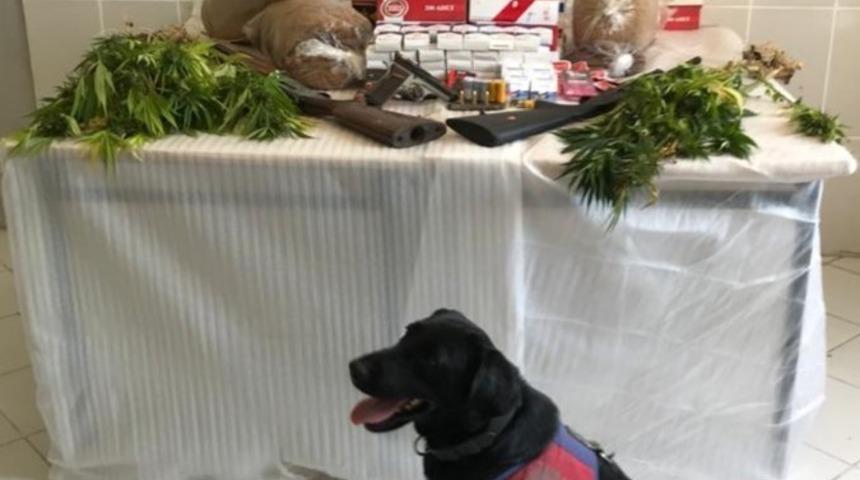 Sinop’ta uyuşturucu operasyonu: 2 gözaltı