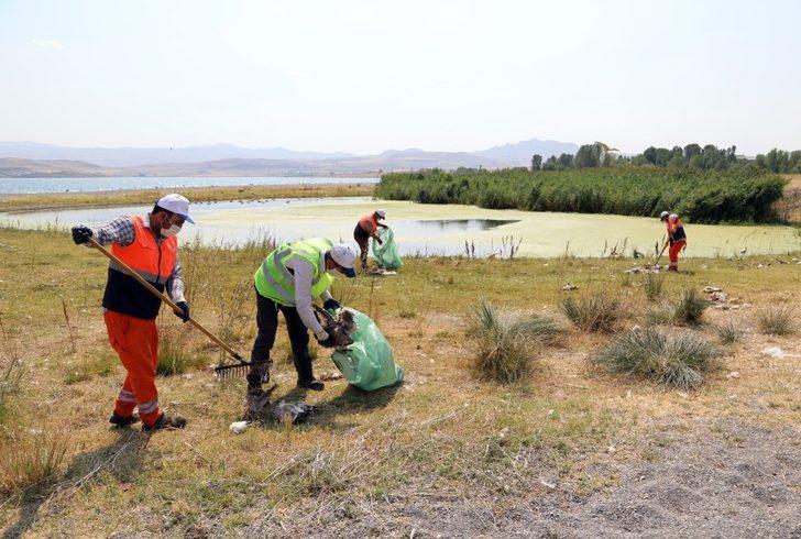 Van büyükşehir belediyesi telef olan martıları topladı G5