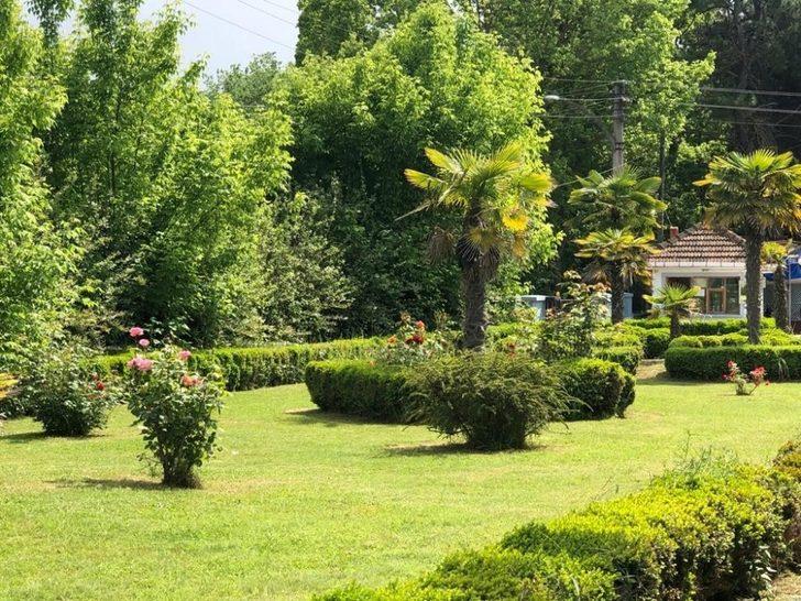 Ali Kale Turistik Tesisleri bu yıl da Bafralıların gözdesi G5