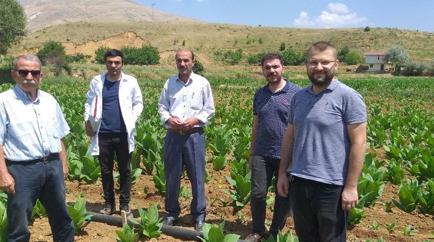 Tarımda viral hastalıklarla m&uuml;cadele araştırması yapıldı
