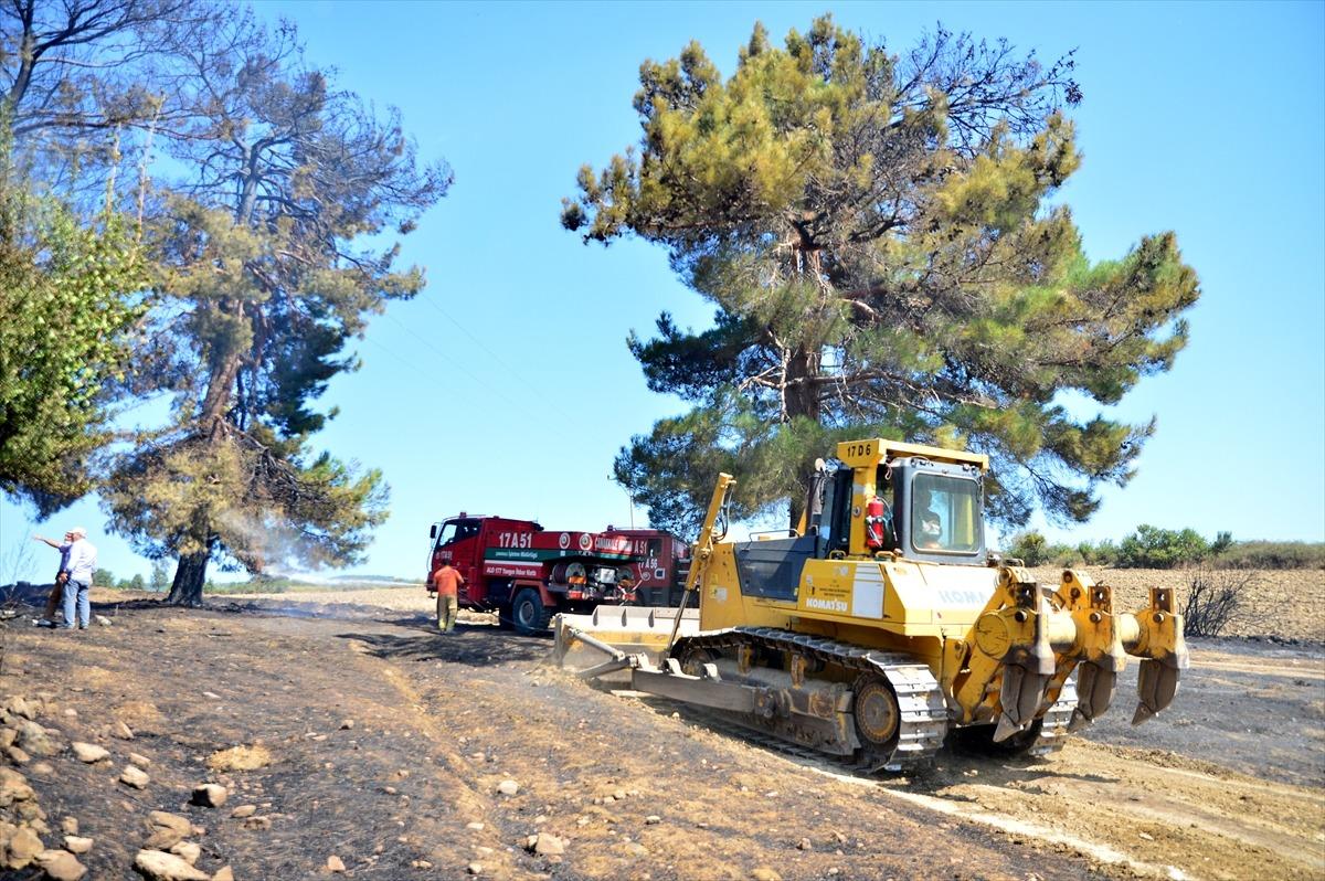 G&Uuml;NCELLEME - &Ccedil;anakkale'de orman yangını