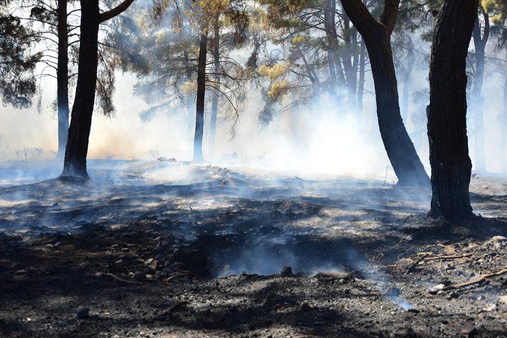 GÜNCELLEME - Çanakkale'de orman yangını G2