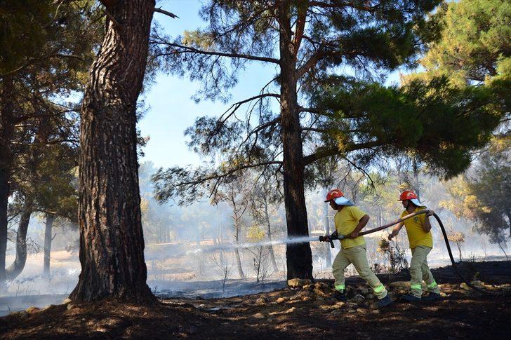 GÜNCELLEME - Çanakkale'de orman yangını G3