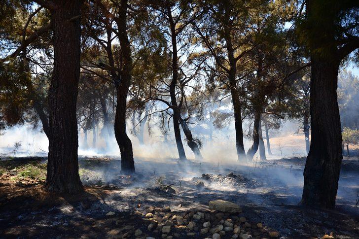 GÜNCELLEME - Çanakkale'de orman yangını G4