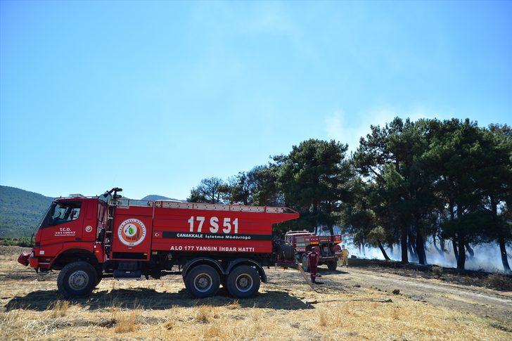 GÜNCELLEME - Çanakkale'de orman yangını G5