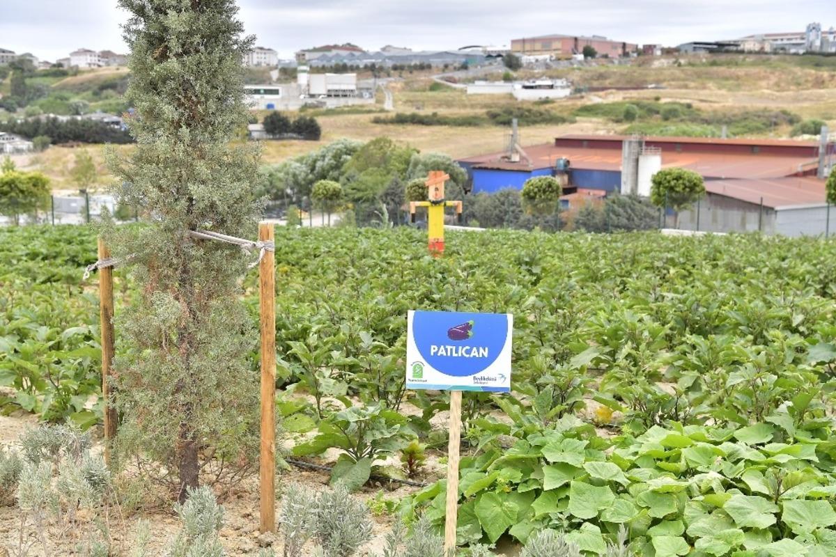 Yaşam Bah&ccedil;esi bin 556 ailenin sofrasına umut oldu