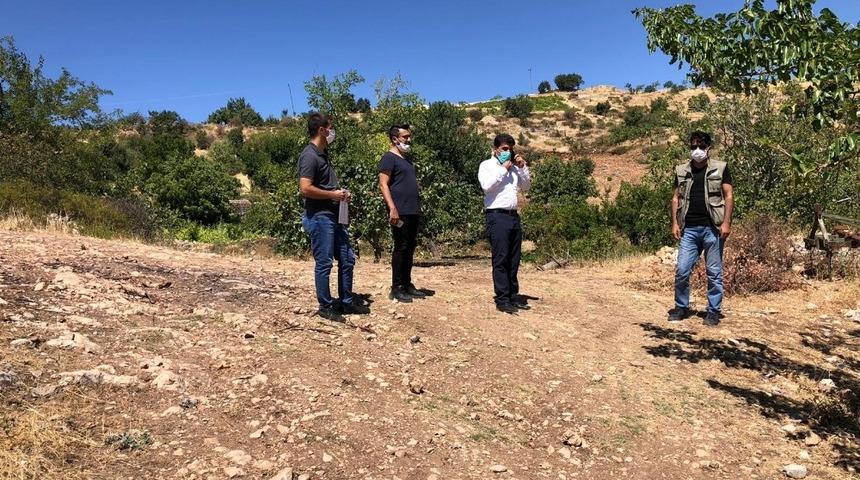 &ldquo;Hayvan dostu&rdquo; projesi hayata ge&ccedil;iriliyor