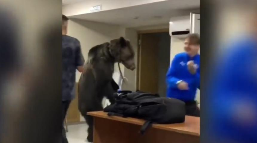 Rusya'da futbol takımının soyunma odasına ayı girdi! İşte o anlar