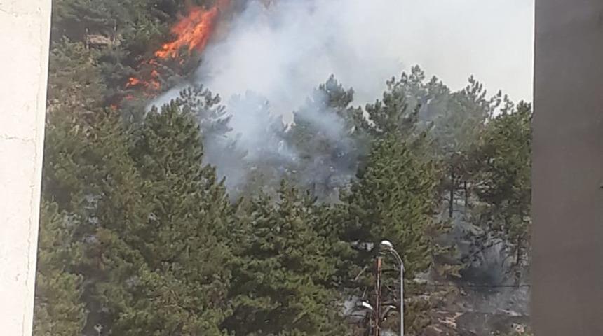 Ankara'da korkutan orman yangını