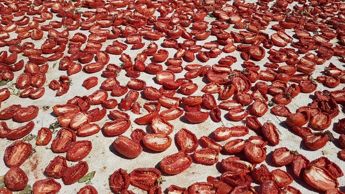 Niğde'de g&uuml;neşte kurutulan domatesler 6 &uuml;lkeye ihra&ccedil; ediliyor