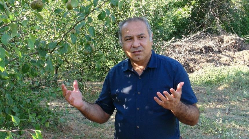 ESOG&Uuml;&rsquo;de meyve hasadı d&ouml;nemi sona erdi