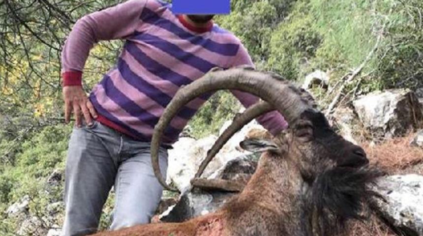 Koruma altındaki dağ ke&ccedil;isi avlayıp, fotoğrafını paylaşan kişiye 23 bin TL ceza