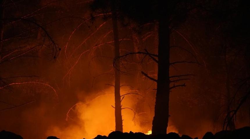 Balıkesir'de Kaz Dağları'nda orman yangını