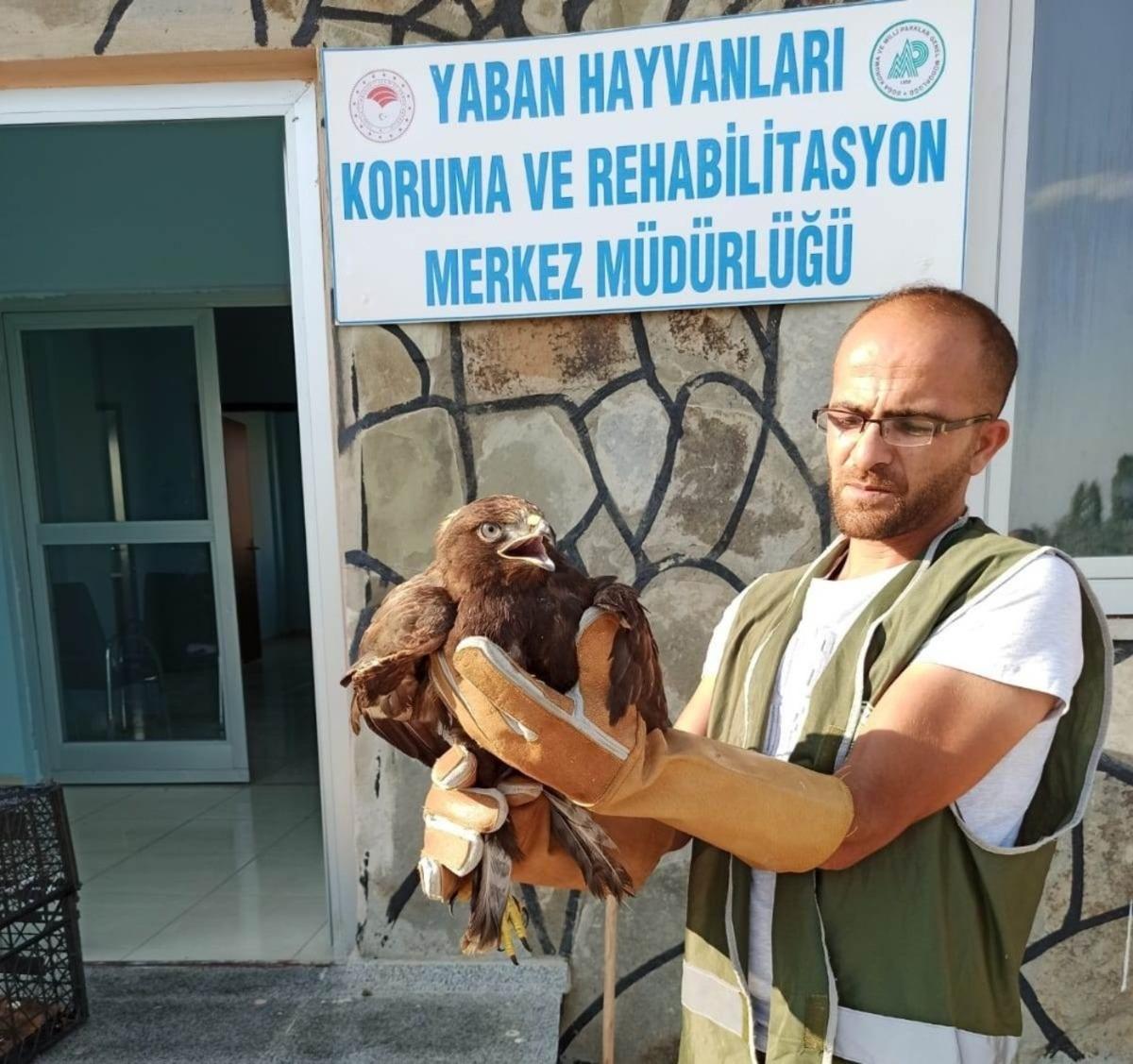 Yaralı kuşlar tedavi altına alındı