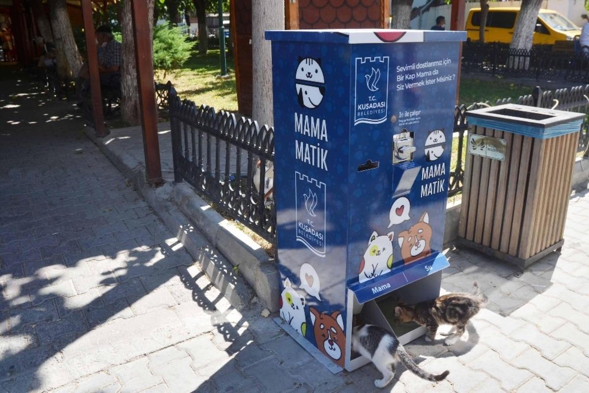 Kuşadası&rsquo;nda sokak hayvanları i&ccedil;in mamamatikler hizmete girdi