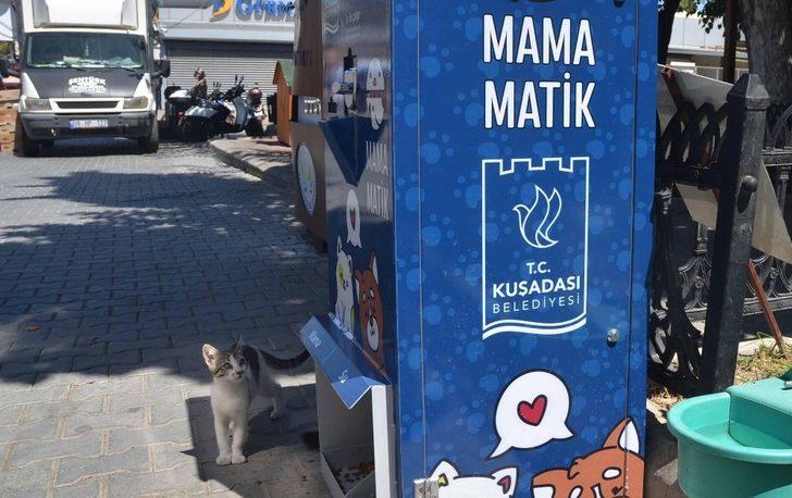 Kuşadası’nda sokak hayvanları için mamamatikler hizmete girdi G2