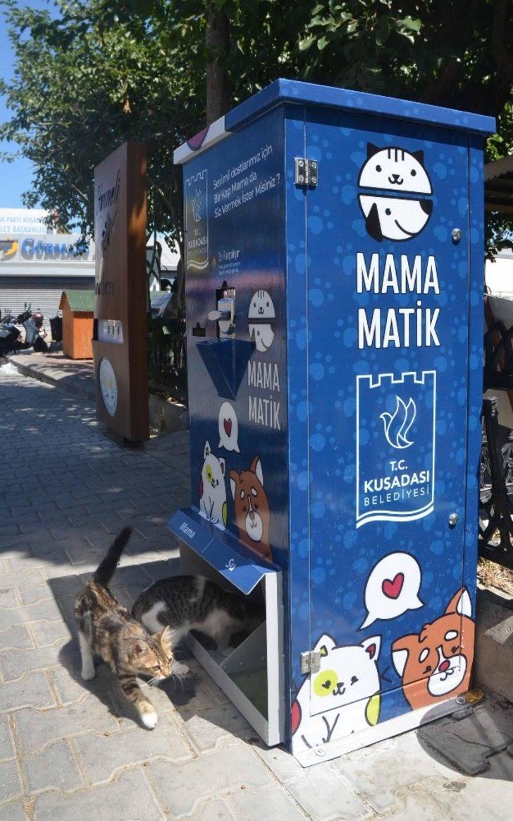 Kuşadası’nda sokak hayvanları için mamamatikler hizmete girdi G4