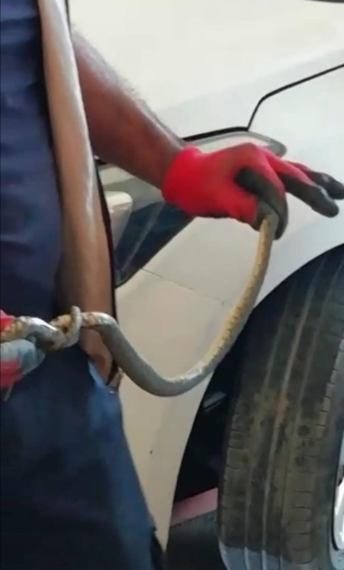 Otomobilin motoruna giren yılanı itfaiye &ccedil;ıkardı