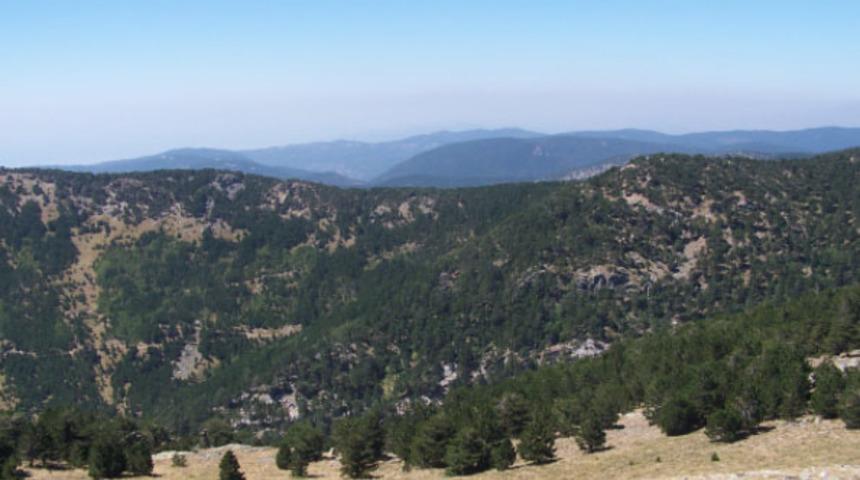 Balıkesir'de ormanlara girmek yasaklandı