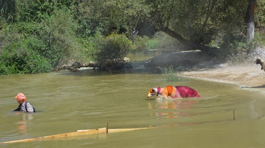 Kültürel Miras Listesi’ndeki ‘Sudan Koyun Geçirme Yarışması’ temsili yapılacak