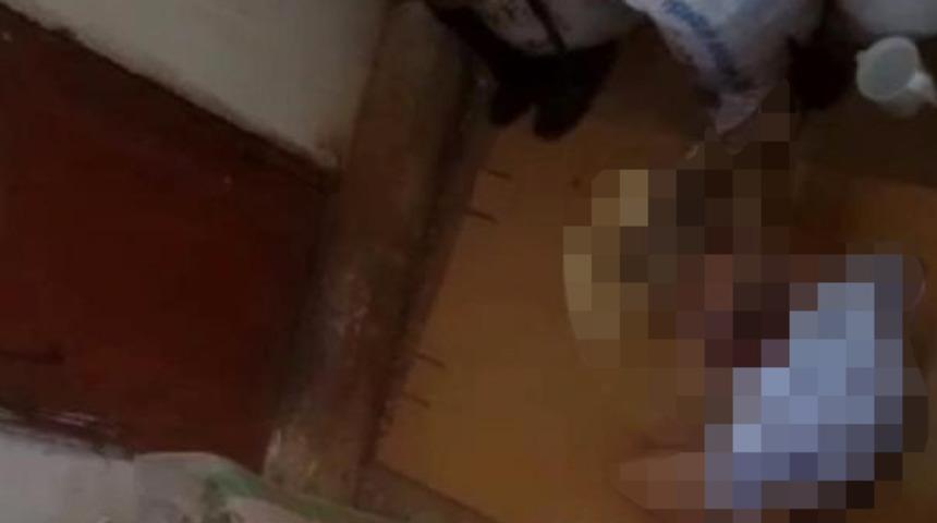 Antalya'da iğrenç olay! Ayaklarını hortumla bağladığı köpeğe tecavüz etti