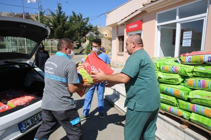 Doğum günü hediyesi olarak sokak hayvanları için mama istedi G2