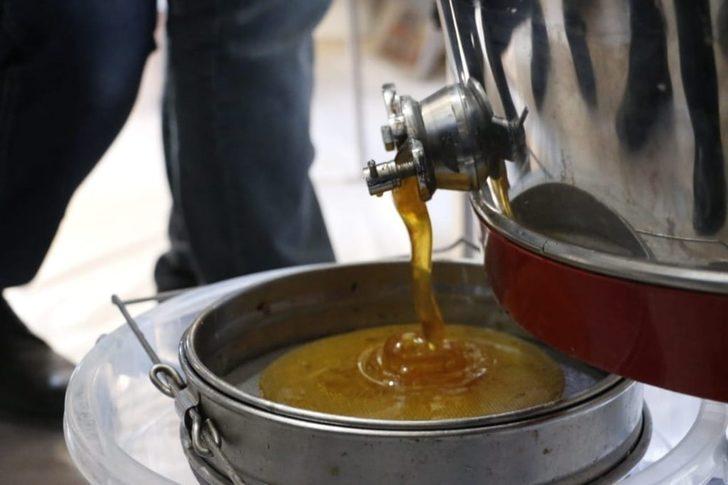 Arıcıların zorlu bal mesaisi G3