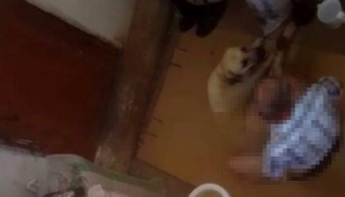 Hortumla bağladığı köpeğe tecavüz eden zanlı hakkında karar verildi