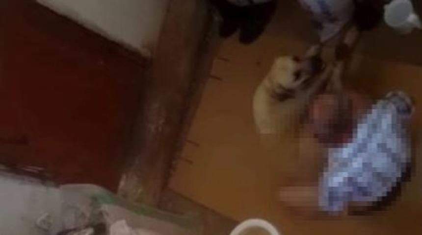 Hortumla bağladığı k&ouml;peğe tecav&uuml;z eden zanlı hakkında karar verildi