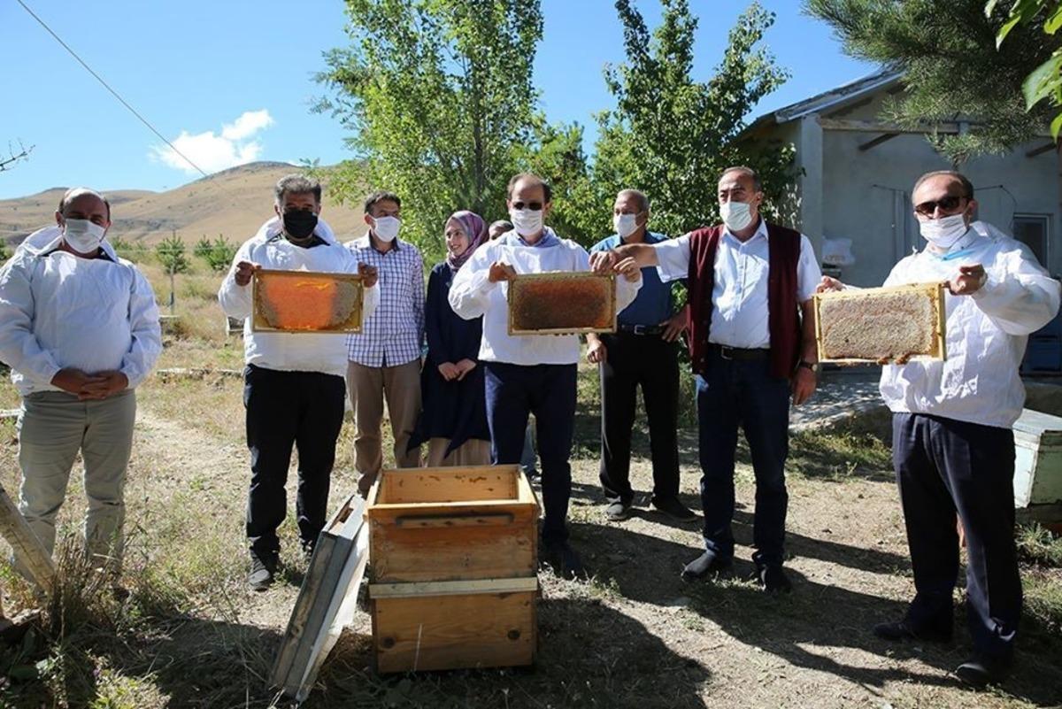 Bayburt Balında hasada başlandı