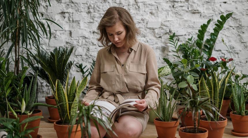 Evin havasını temizlemek i&ccedil;in NASA ev bitkilerini &ouml;neriyor! İşte o bitkiler...