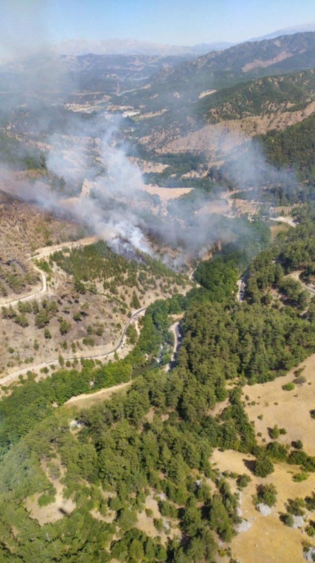 Kahramanmaraş’ta orman yangını