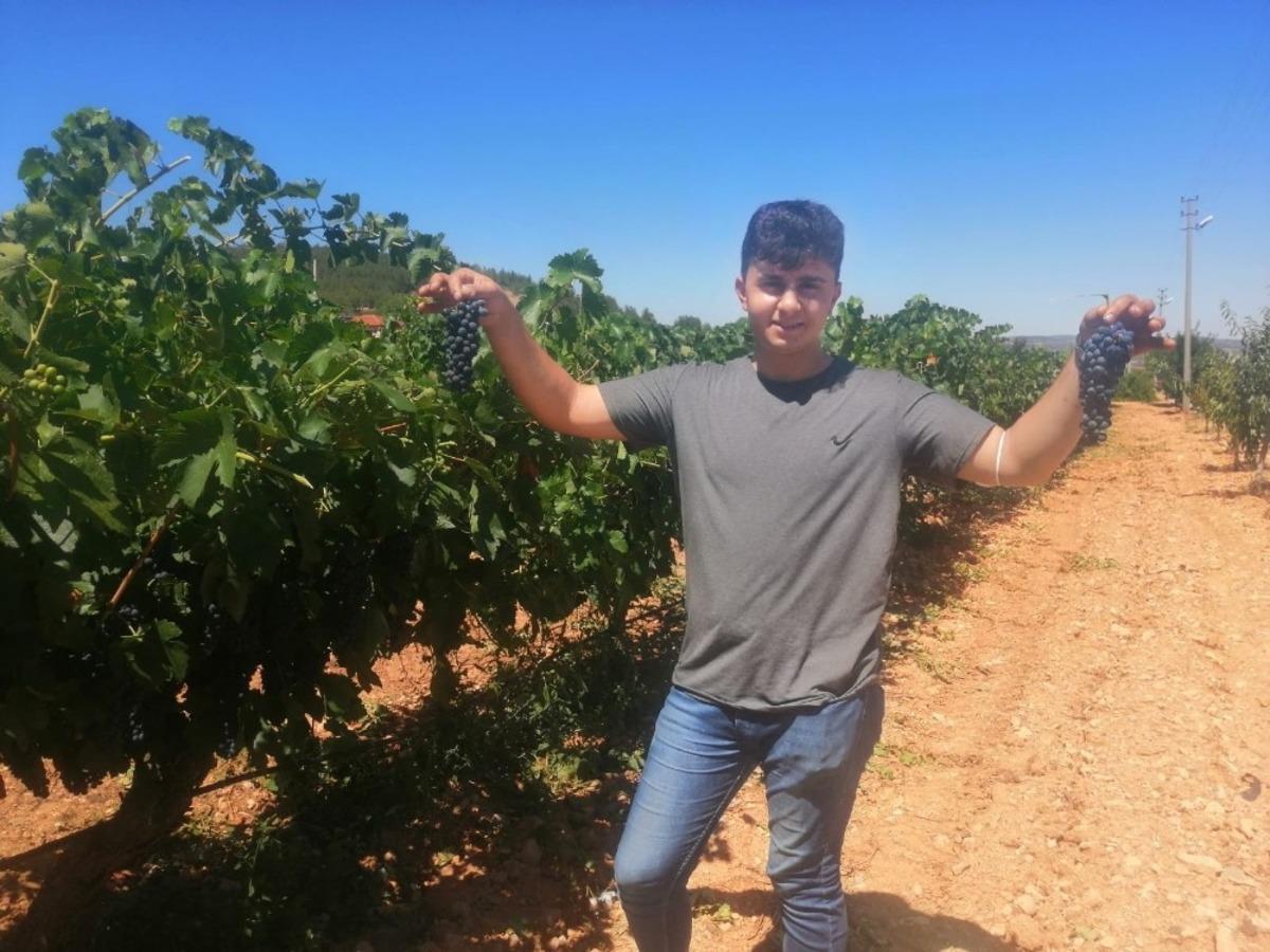 &Uuml;z&uuml;m &uuml;reticileri 2020&rsquo;den umduğunu bulamadı