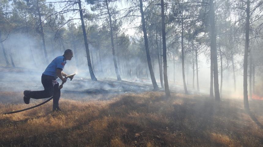 Piknik ateşi 1 hektarlık alanı kül etti