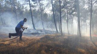 Piknik ateşi 1 hektarlık alanı kül etti