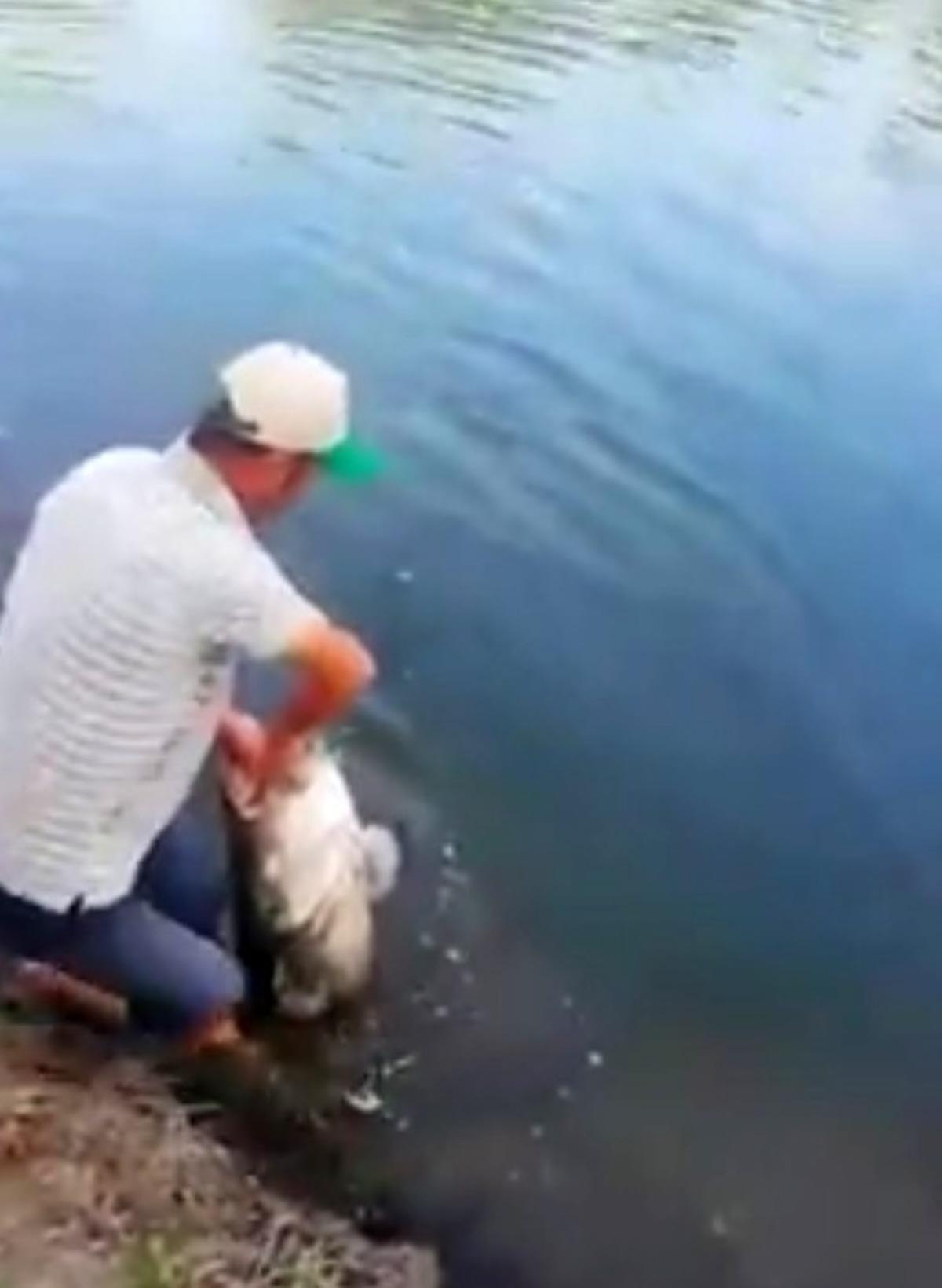 Meri&ccedil; nehri&rsquo;nde yakalandı, tam 50 kilo