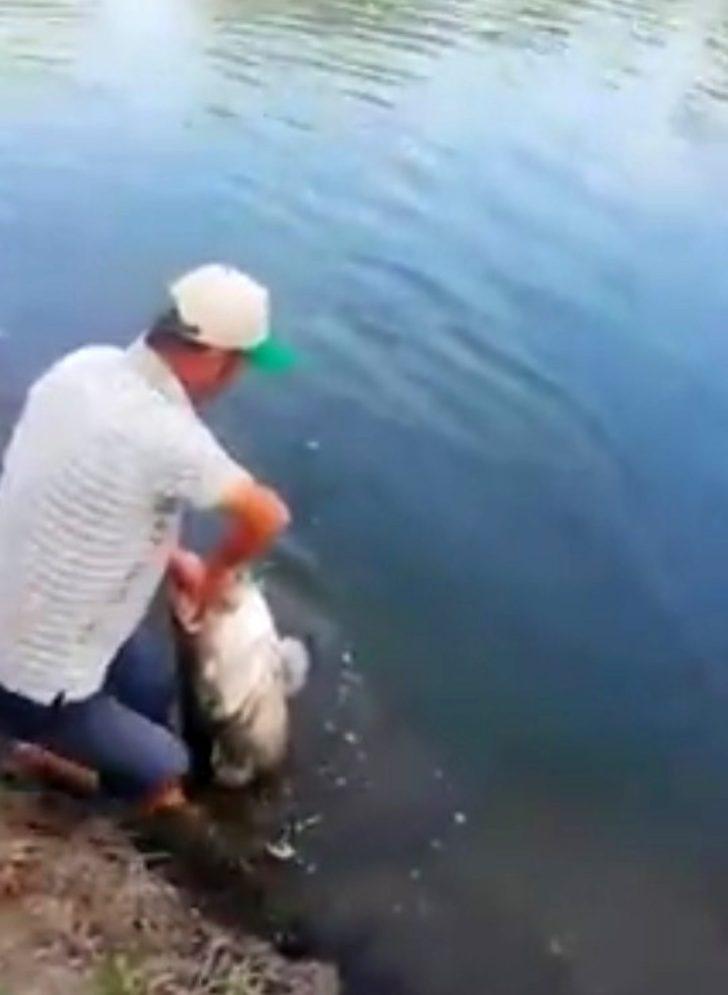 Meriç nehri’nde yakalandı, tam 50 kilo G1