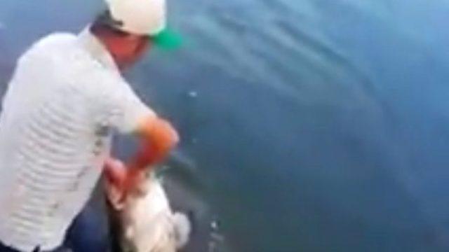 Meriç nehri’nde yakalandı, tam 50 kilo