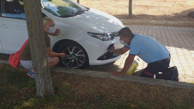 Yapmadıkları kalmadı! İnatçı kedi çileden çıkardı